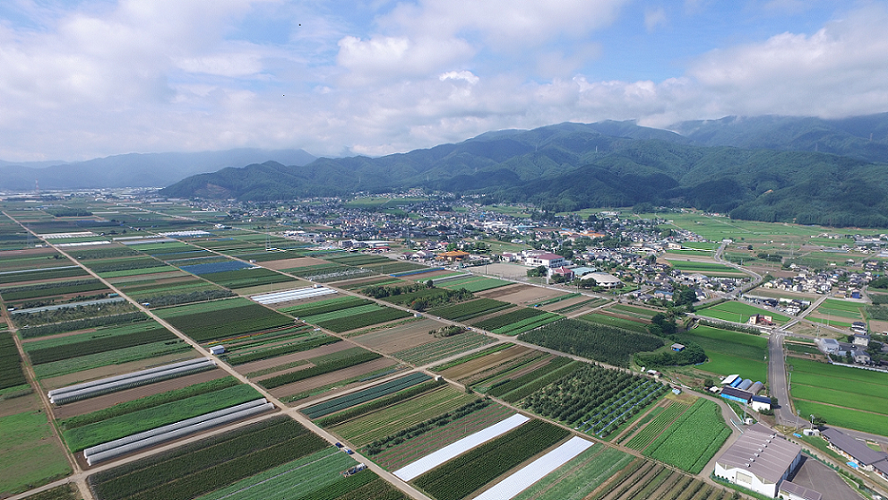 山形村の全景