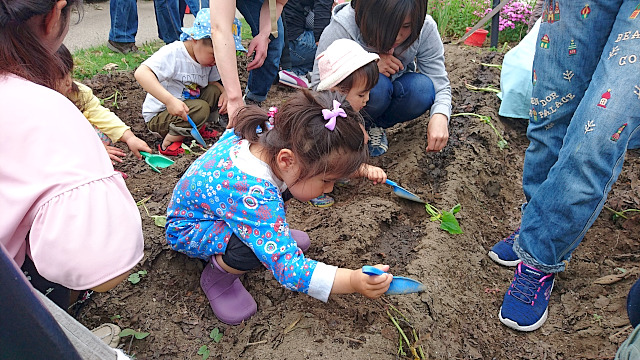 子育て