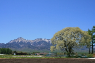 南牧村の画像