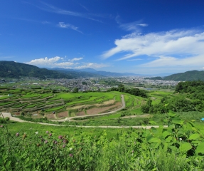 千曲市の画像