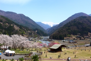 大鹿村の画像