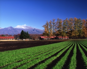 佐久市の画像