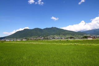 中野市の画像