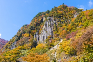 栄村の画像