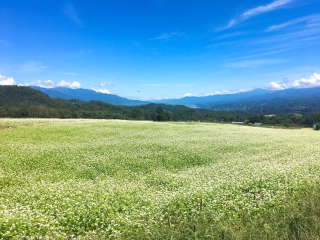 下條村の画像