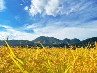 木島平村の画像