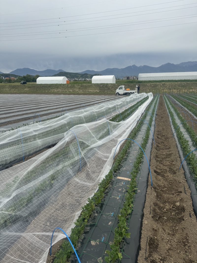 移住希望者へのメッセージの画像