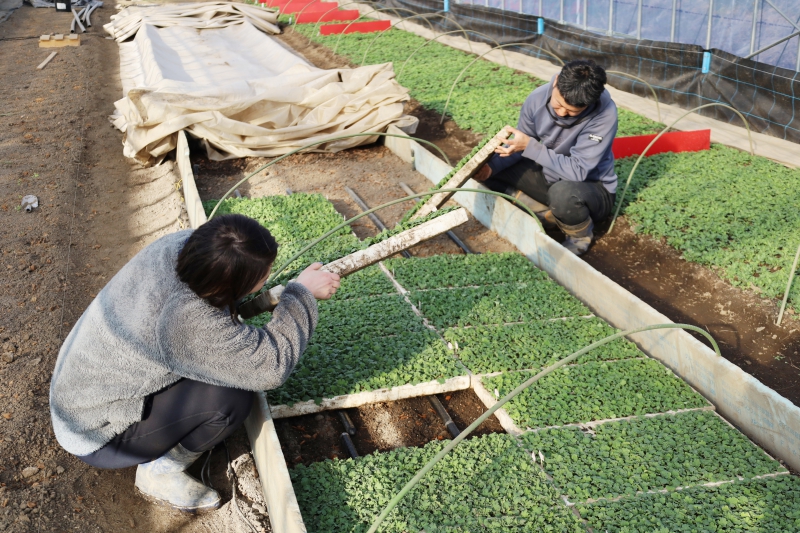 現在の暮らしの画像