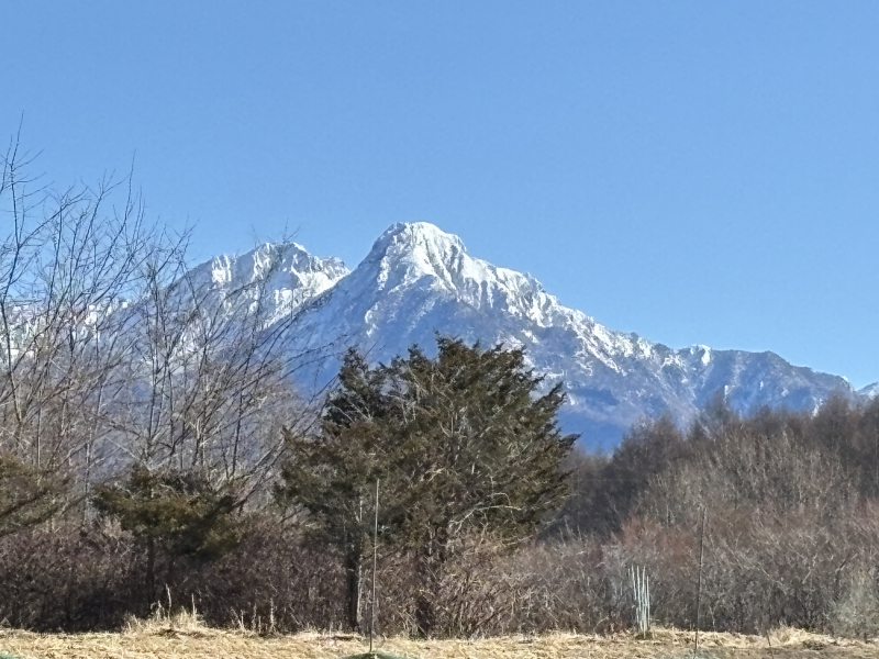 移住して大変だったことの画像